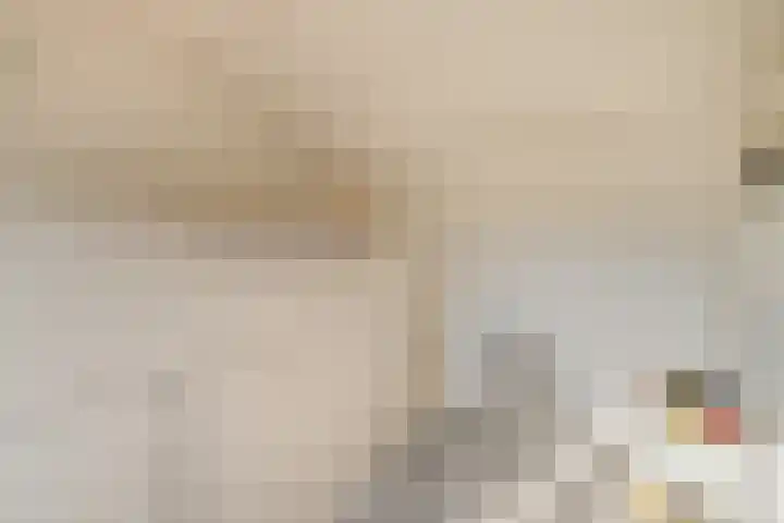 Schoolstraat 18 Krimpen aan de Lek thumbnail 26