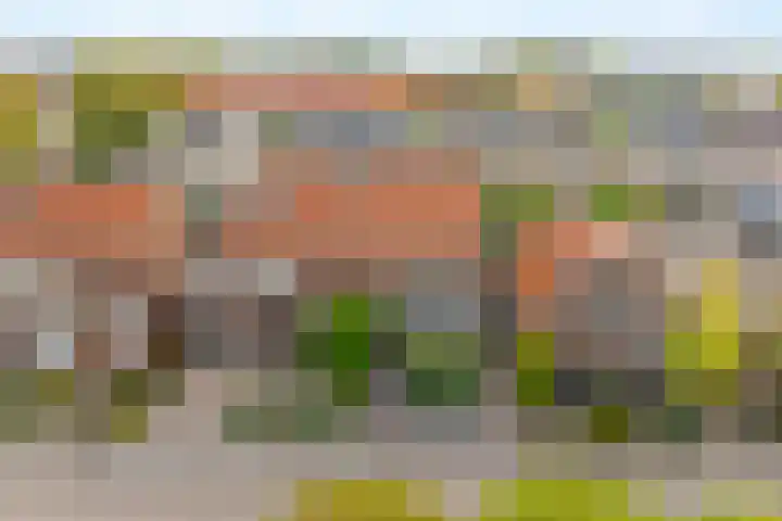 Schoolstraat 18 Krimpen aan de Lek thumbnail 34
