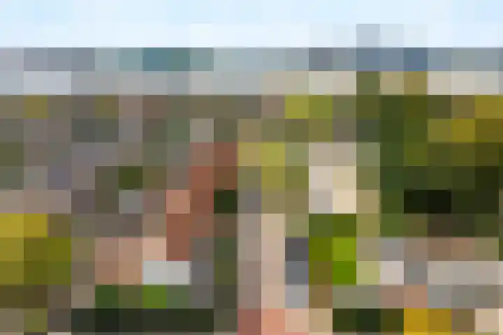 Schoolstraat 18 Krimpen aan de Lek thumbnail 35