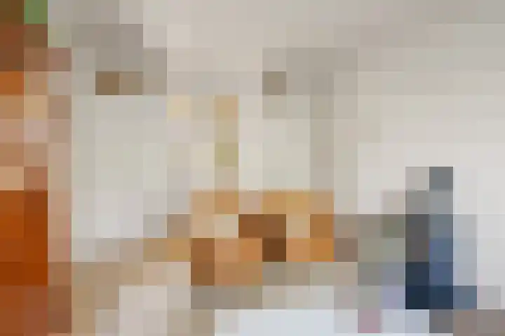 Schoolstraat 18 Krimpen aan de Lek thumbnail 4