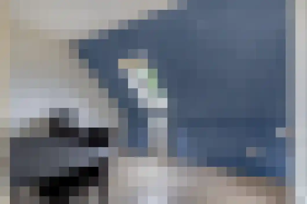 Schoolstraat 18 Musselkanaal thumbnail 31