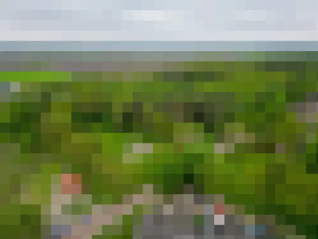 Schoolstraat 18 Musselkanaal thumbnail 42