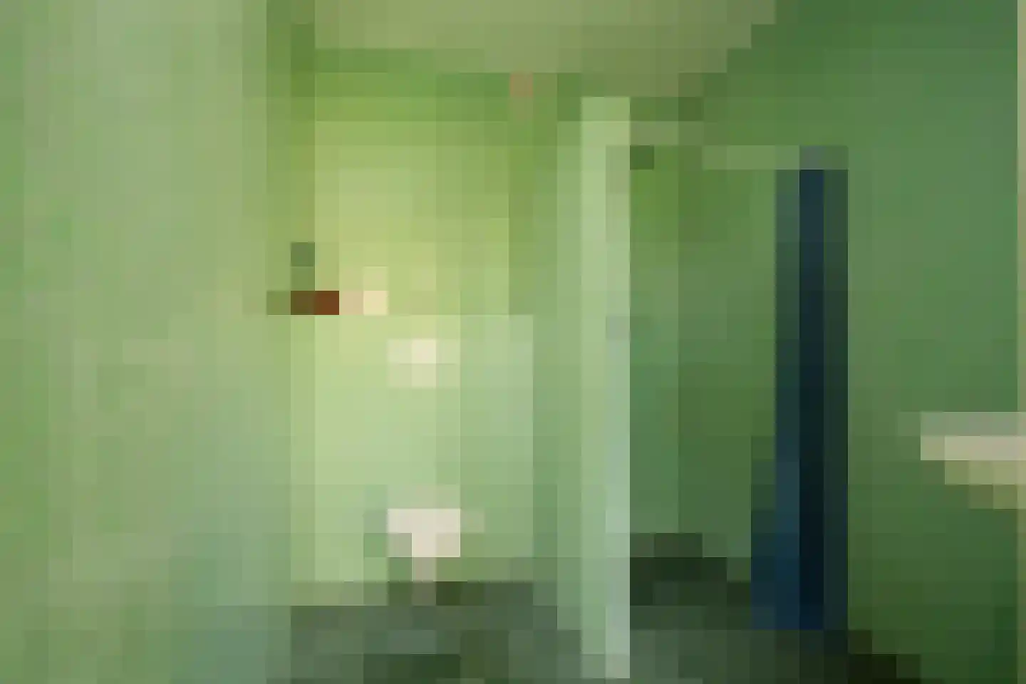 Schoolstraat 18 's-Hertogenbosch thumbnail 27