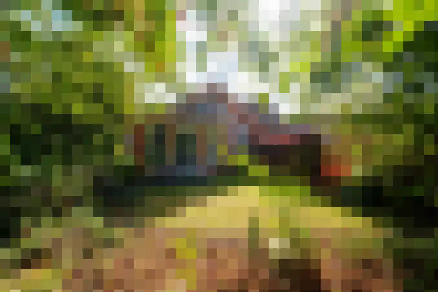 Schoolstraat 18 's-Hertogenbosch thumbnail 29