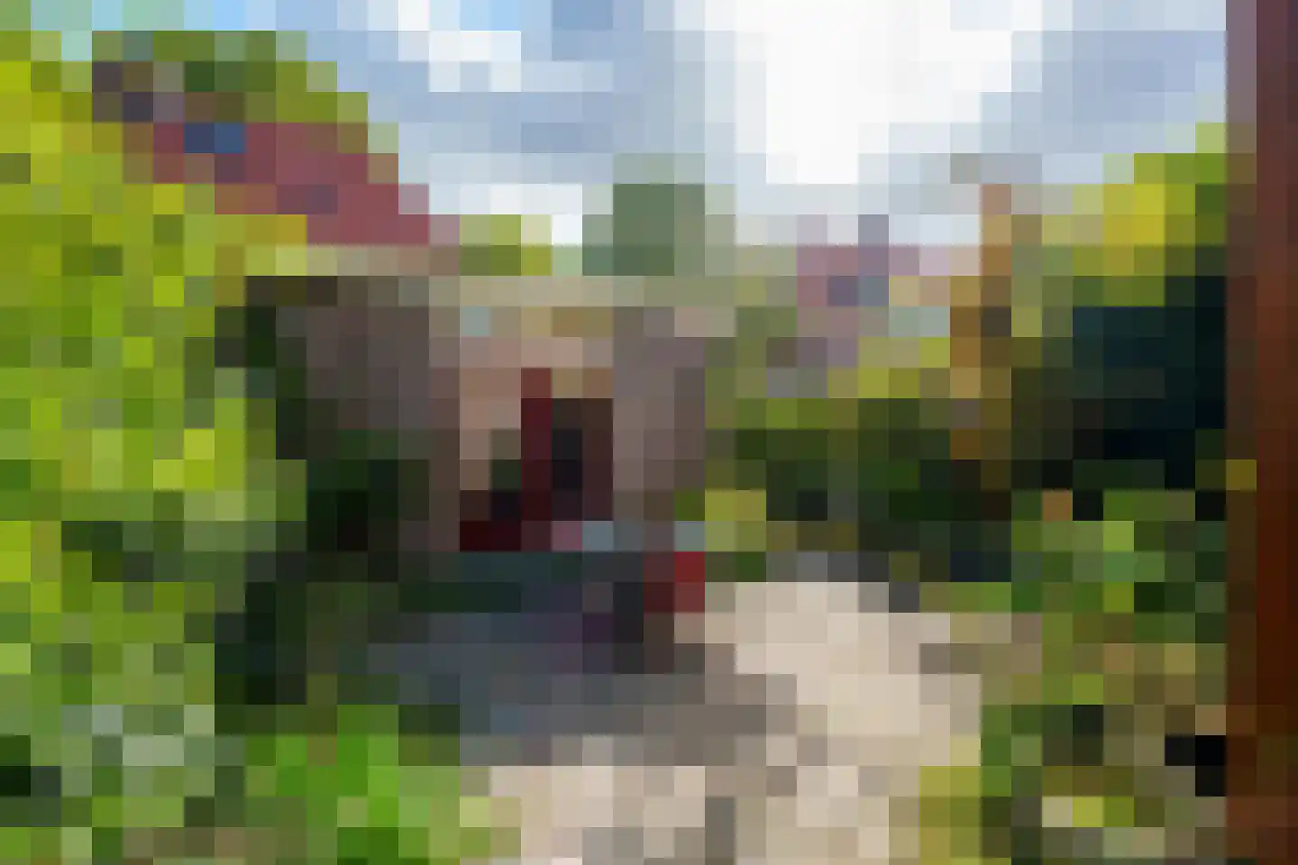 Schoolstraat 18 's-Hertogenbosch thumbnail 30