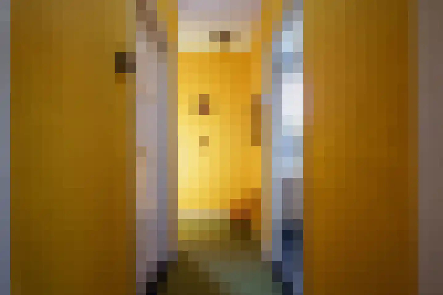 Schoolstraat 18 's-Hertogenbosch thumbnail 33