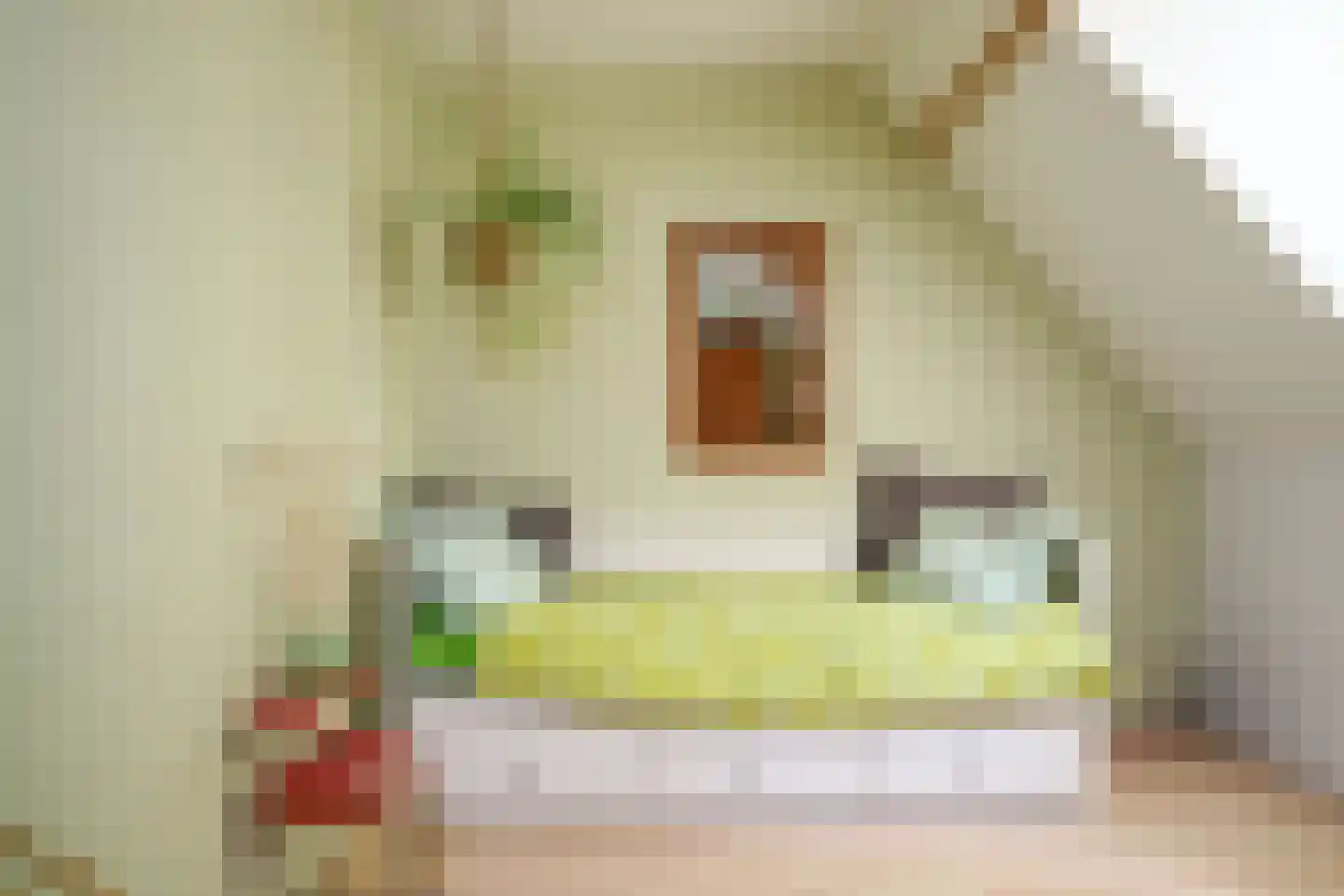 Schoolstraat 18 's-Hertogenbosch thumbnail 39