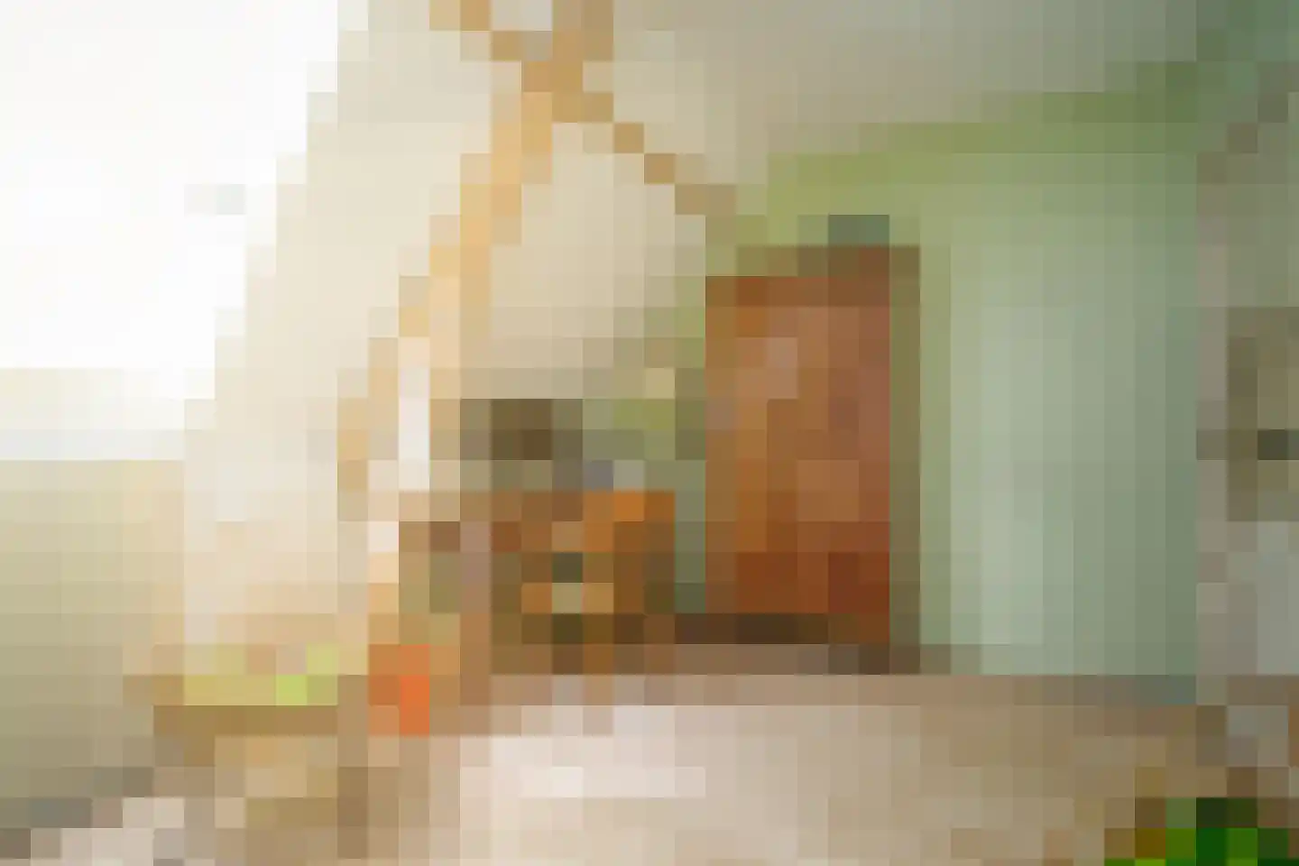 Schoolstraat 18 's-Hertogenbosch thumbnail 40