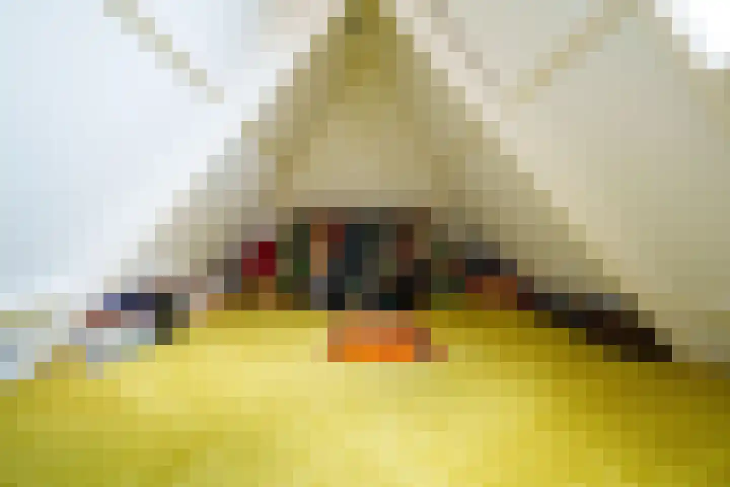 Schoolstraat 18 's-Hertogenbosch thumbnail 42