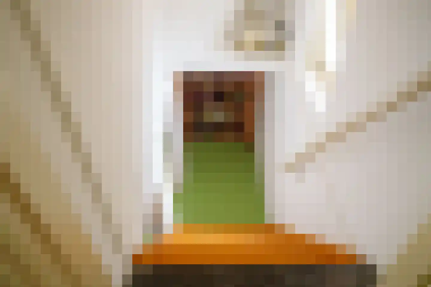 Schoolstraat 18 's-Hertogenbosch thumbnail 43