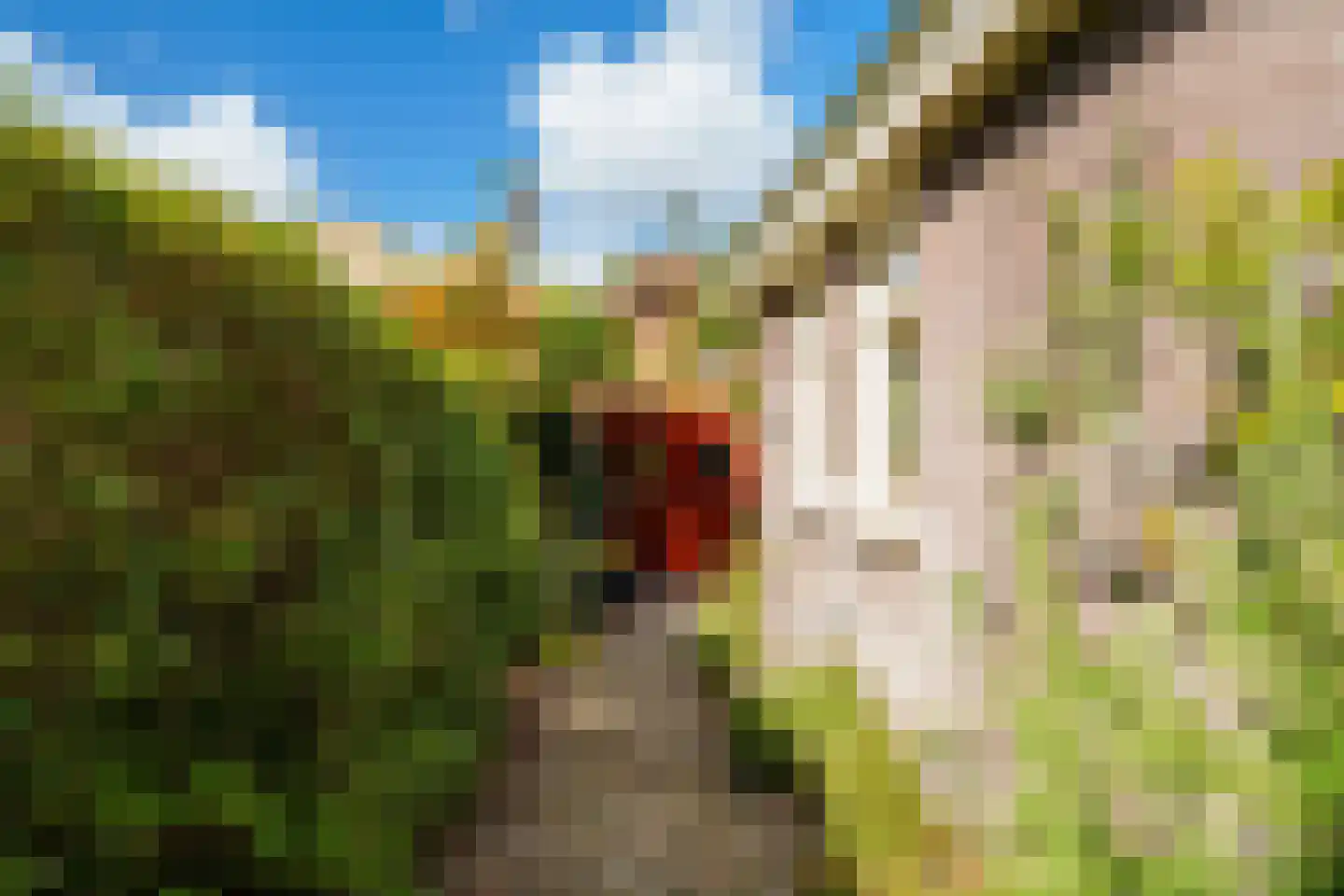 Schoolstraat 18 's-Hertogenbosch thumbnail 44