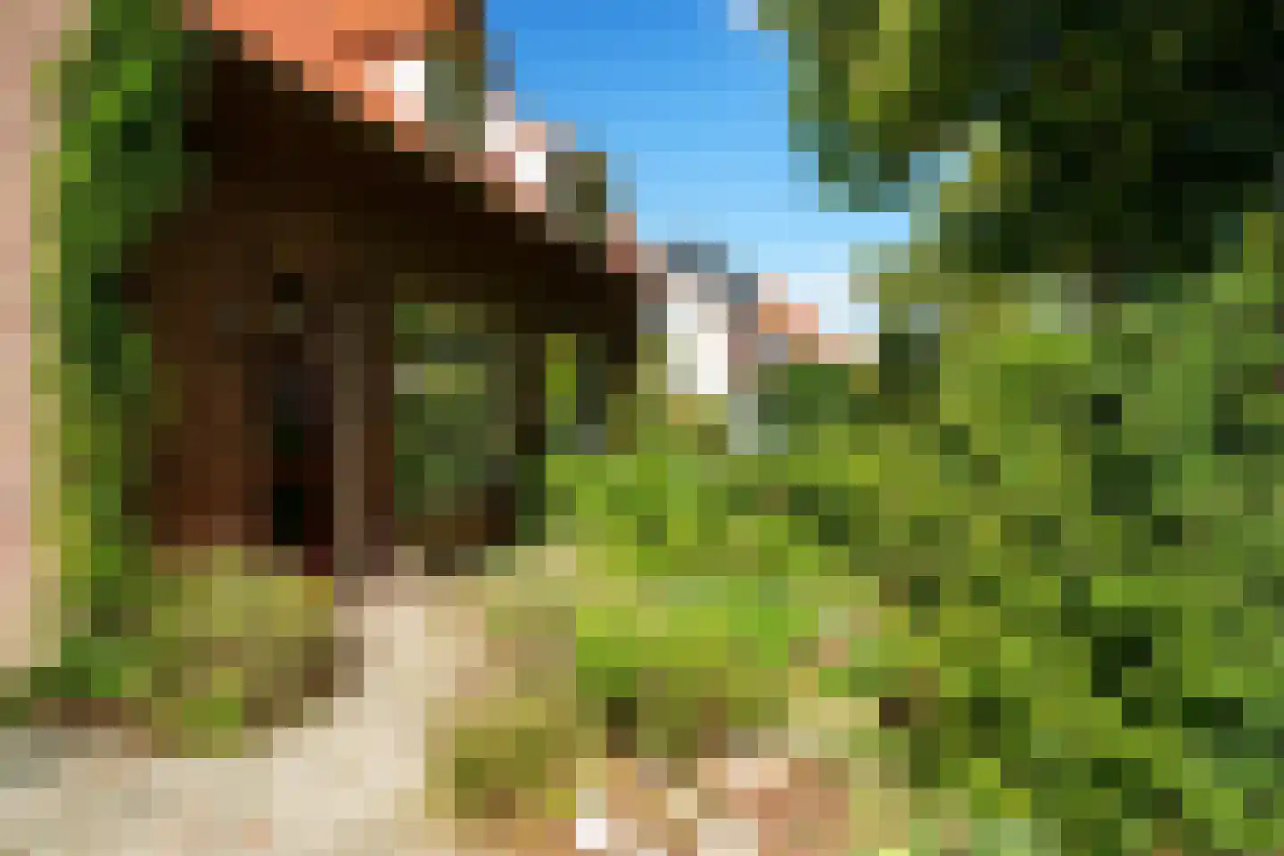 Schoolstraat 18 's-Hertogenbosch thumbnail 46