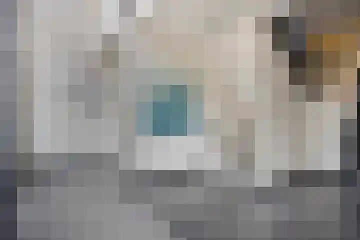Schoolstraat 187 Tilburg thumbnail 18