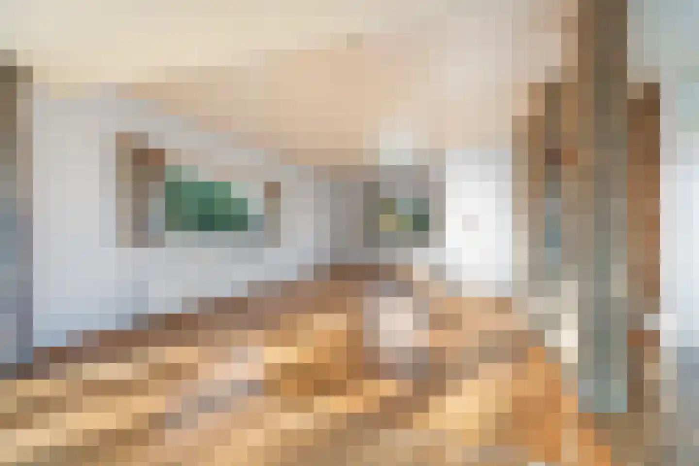 Schoolstraat 19 Aerdt thumbnail 12