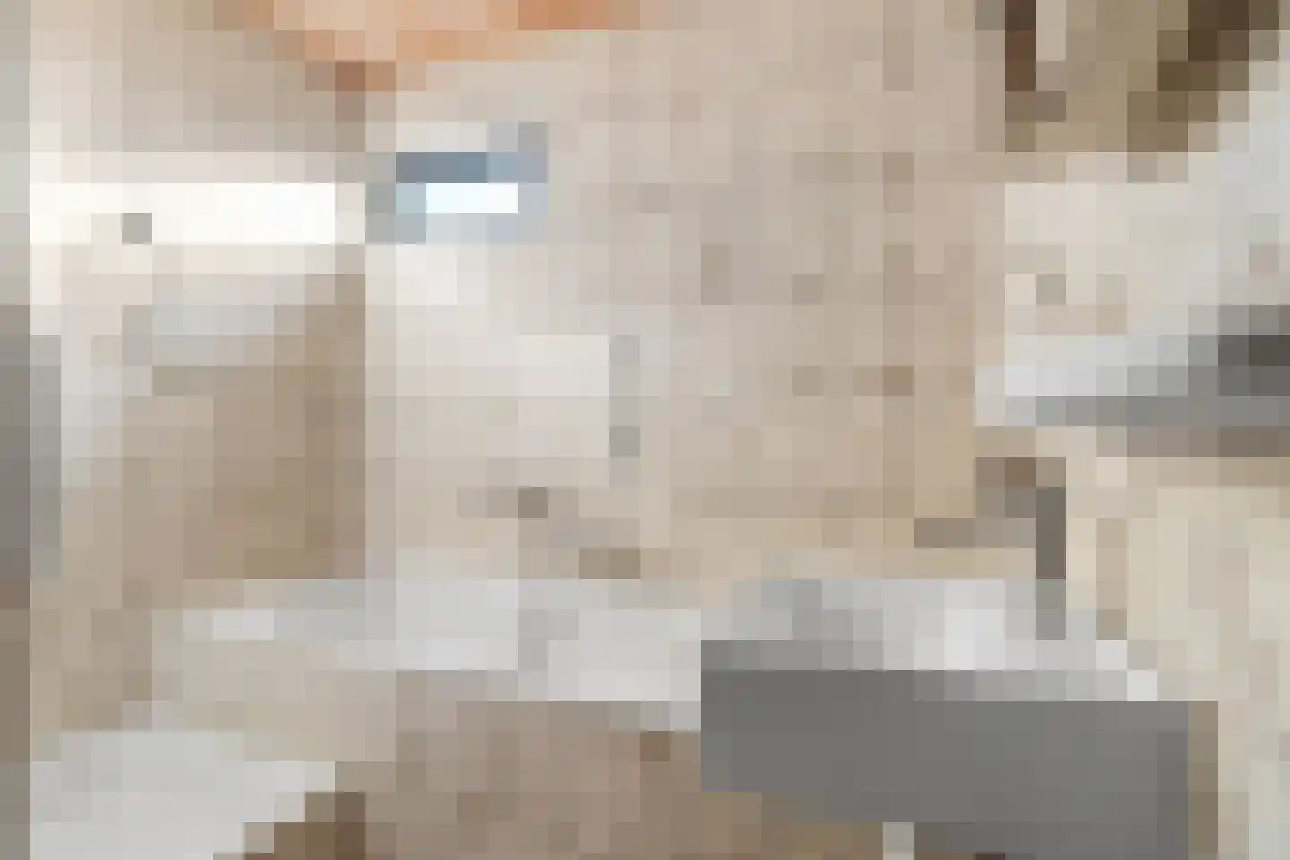Schoolstraat 19 Aerdt thumbnail 27