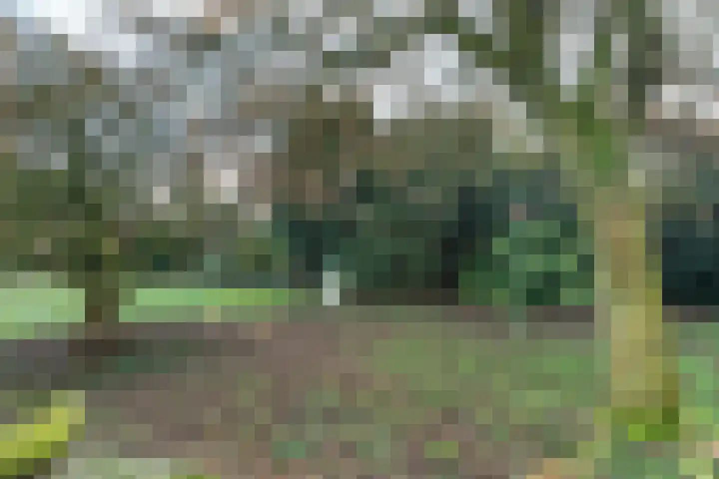 Schoolstraat 19 Aerdt thumbnail 29