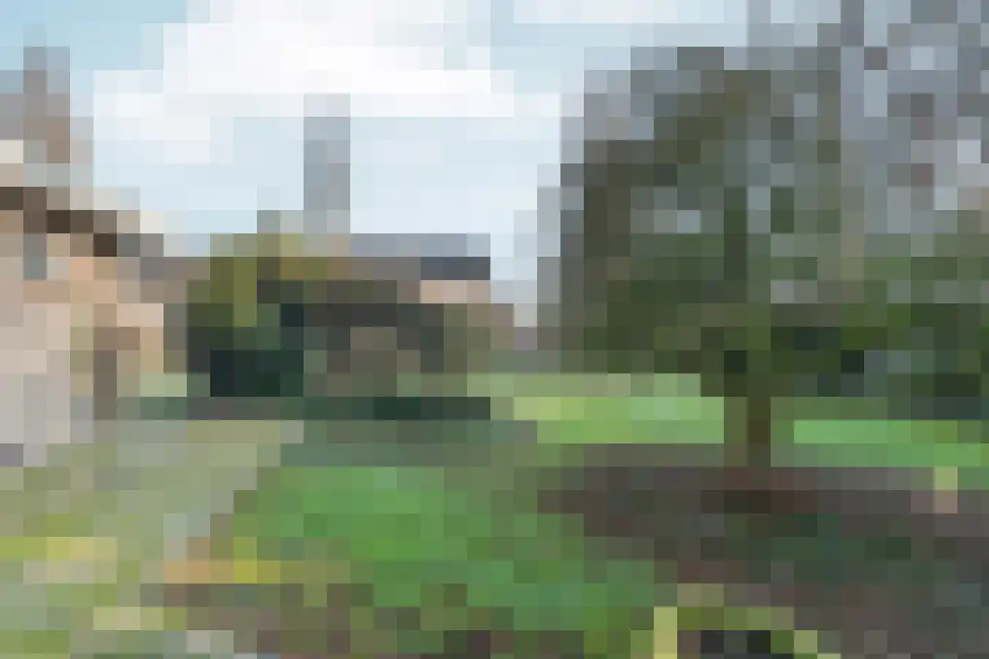 Schoolstraat 19 Aerdt thumbnail 30
