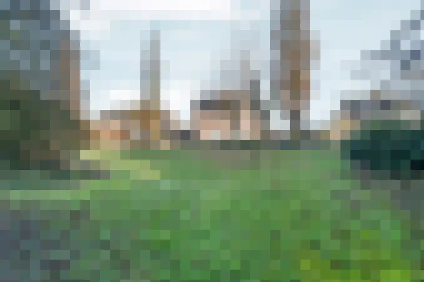 Schoolstraat 19 Aerdt thumbnail 31