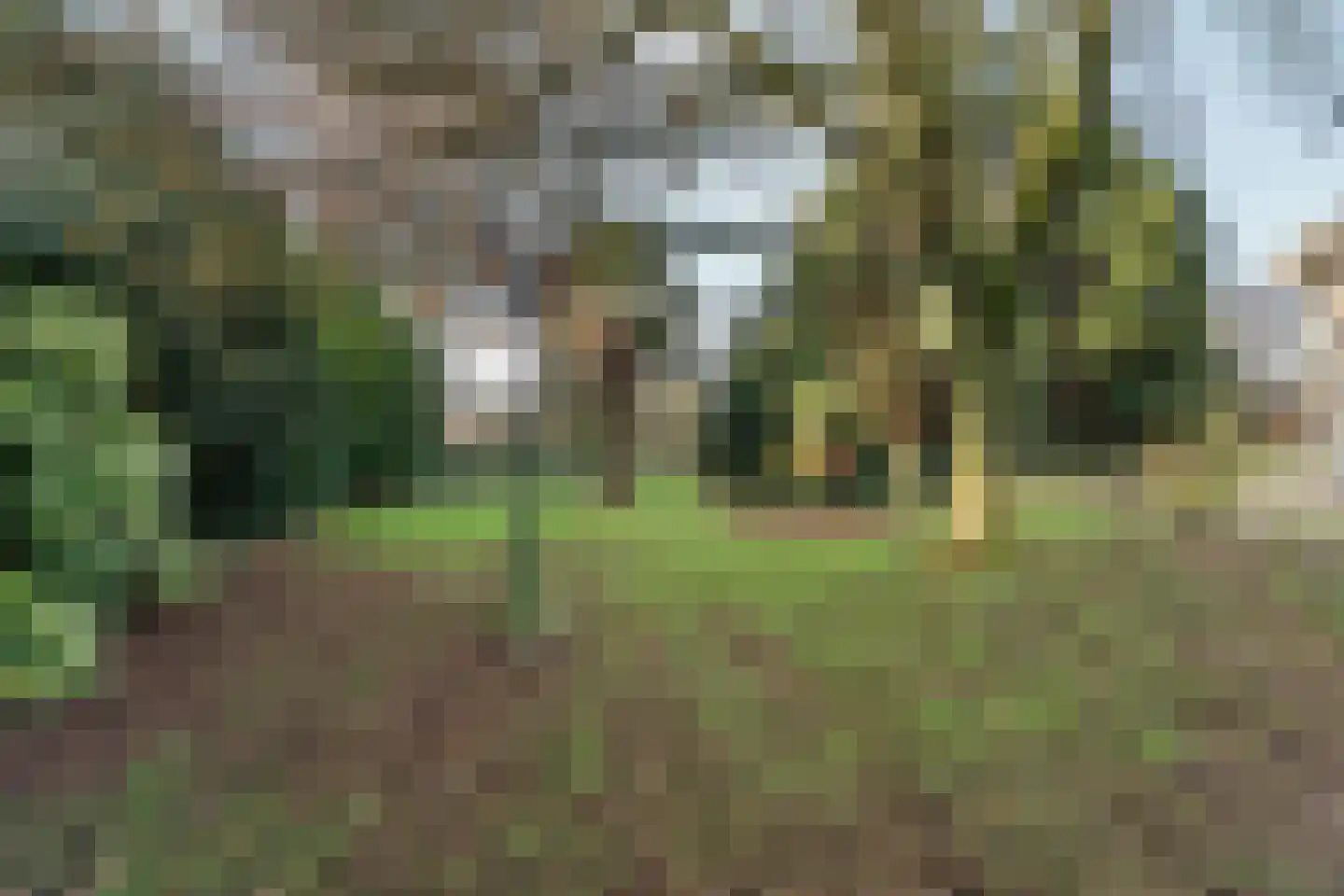 Schoolstraat 19 Aerdt thumbnail 32