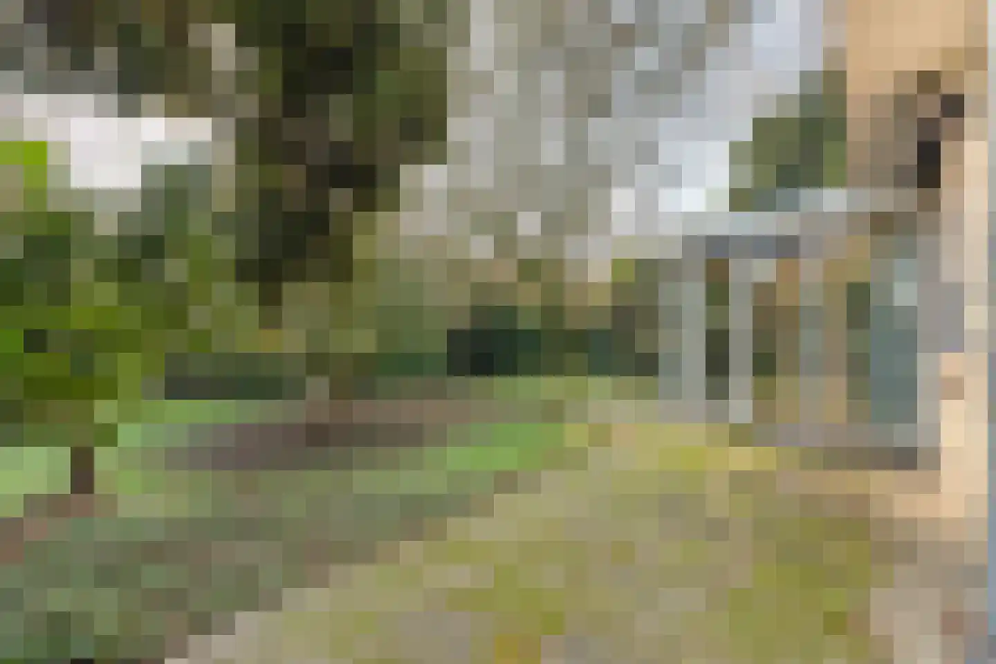 Schoolstraat 19 Aerdt thumbnail 33