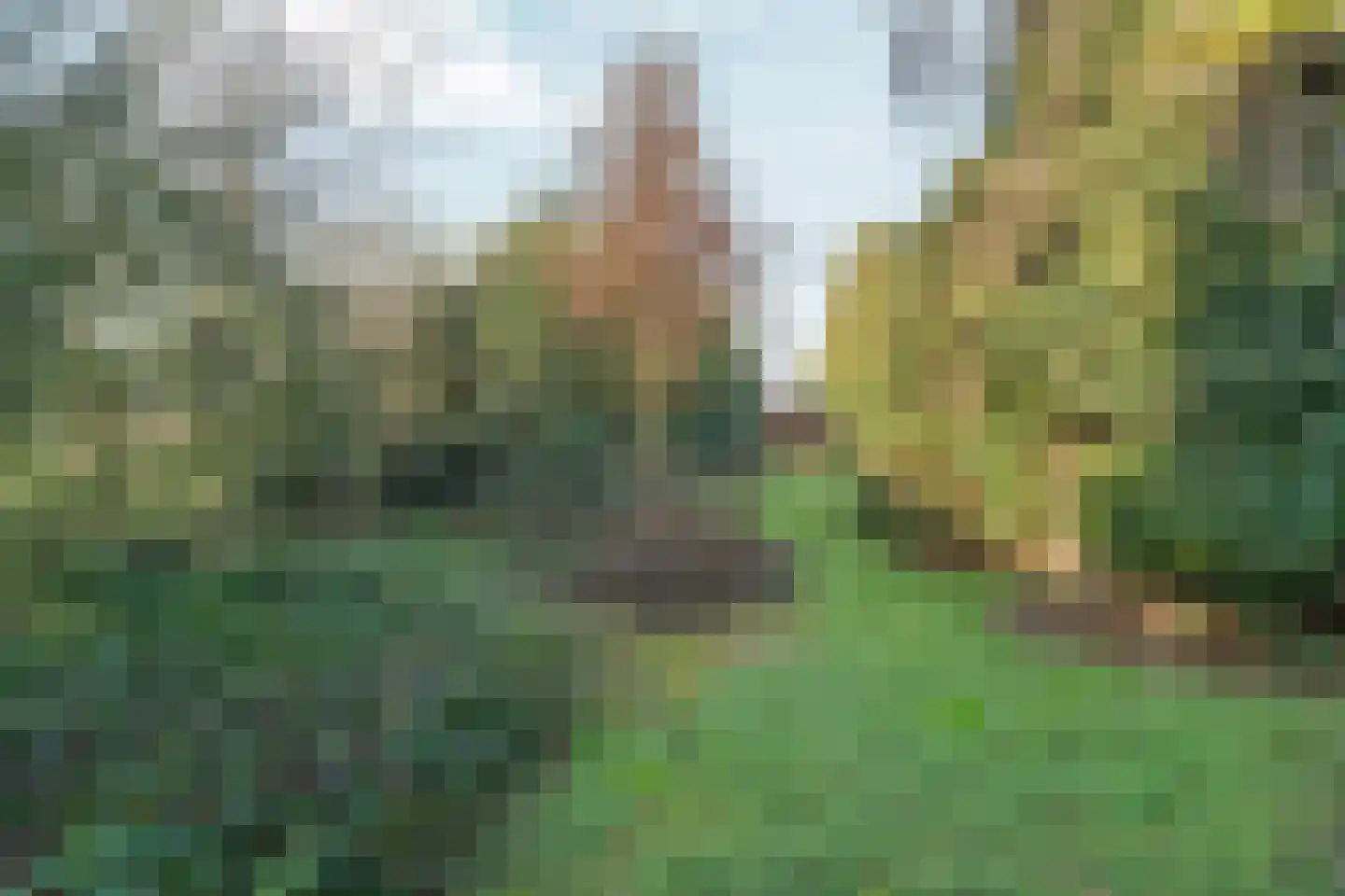 Schoolstraat 19 Aerdt thumbnail 34