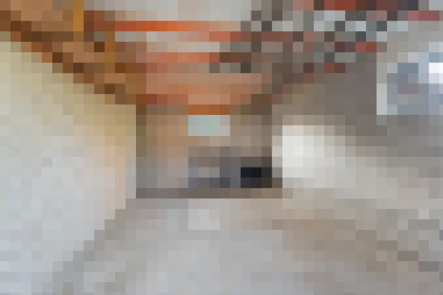 Schoolstraat 19 Aerdt thumbnail 40