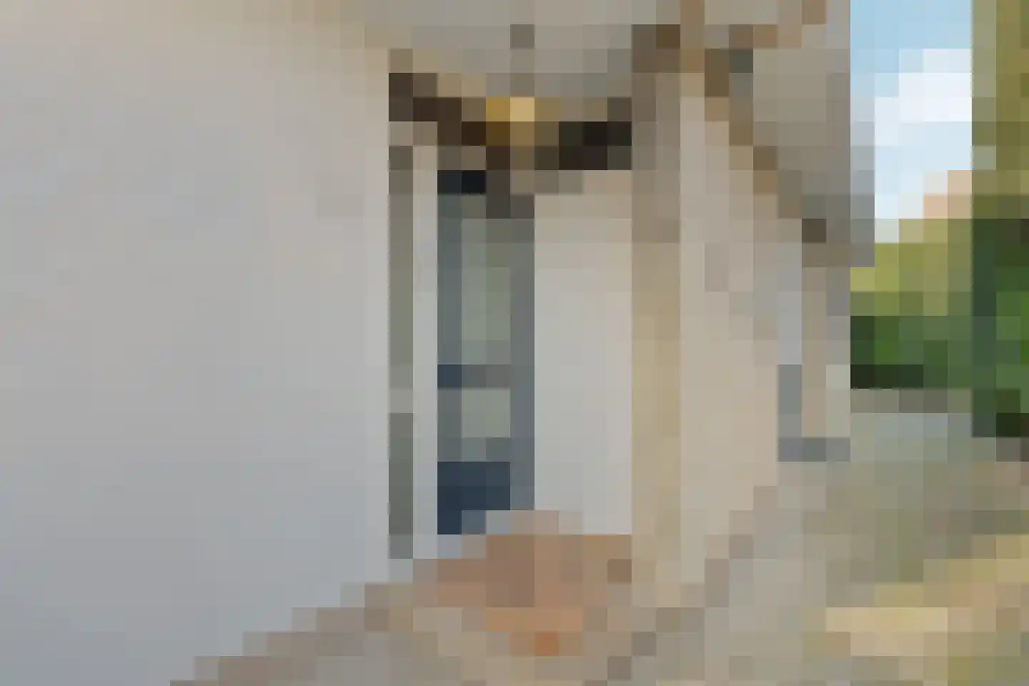 Schoolstraat 19 Aerdt thumbnail 6