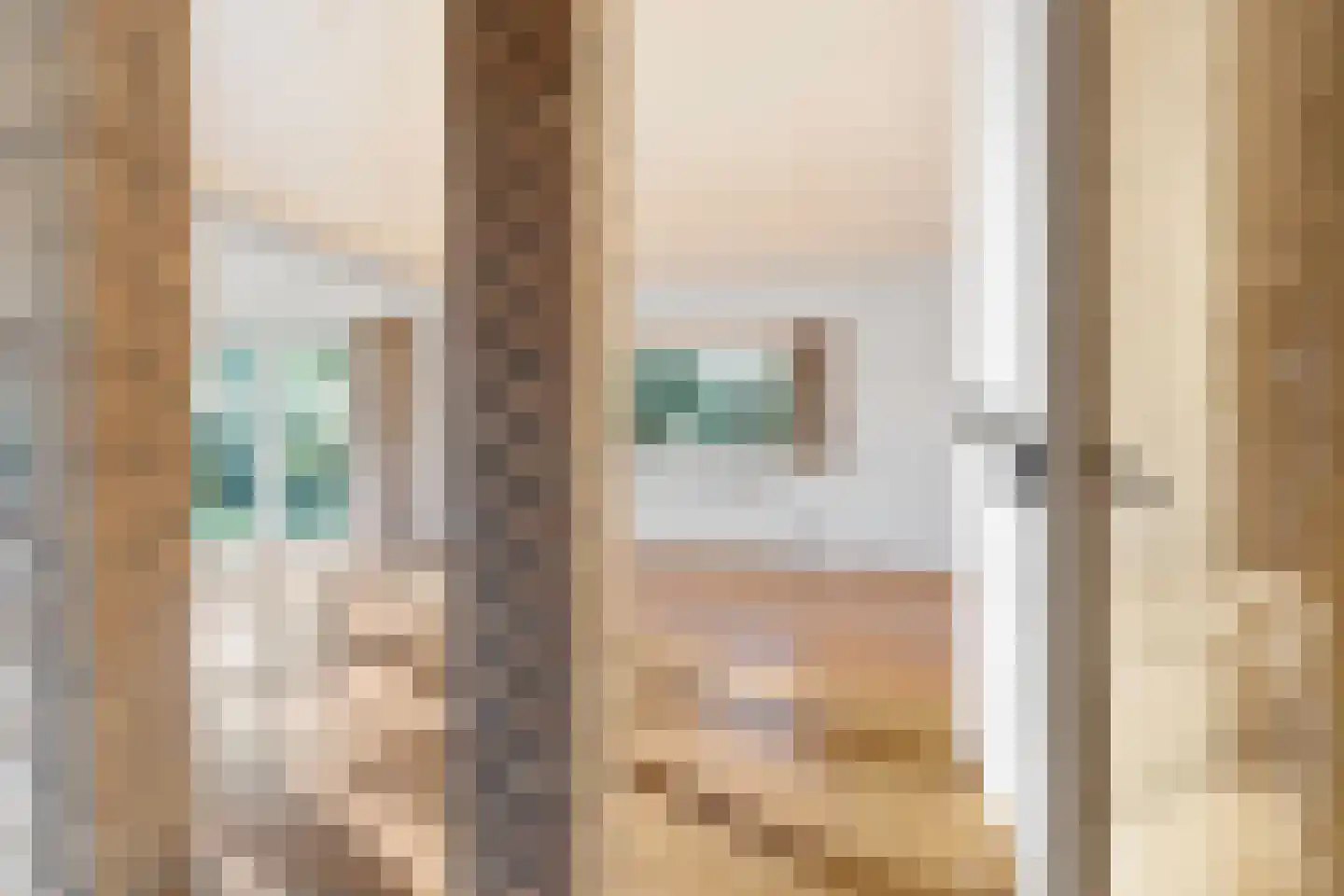 Schoolstraat 19 Aerdt thumbnail 8