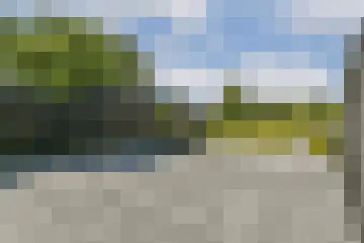 Schoolstraat 19 Den Ilp thumbnail 15
