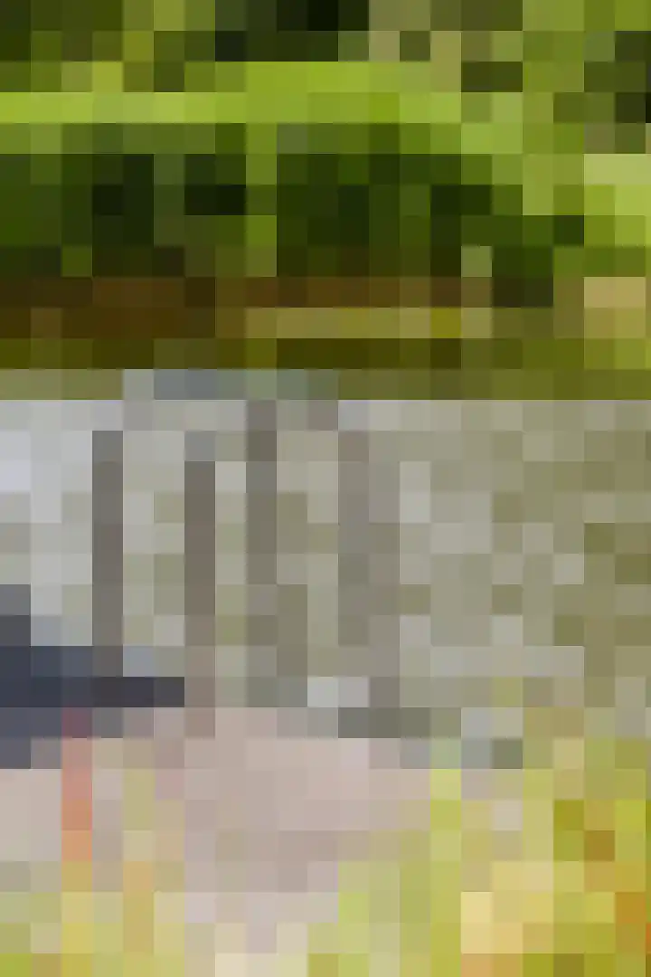 Schoolstraat 19 Den Ilp thumbnail 21
