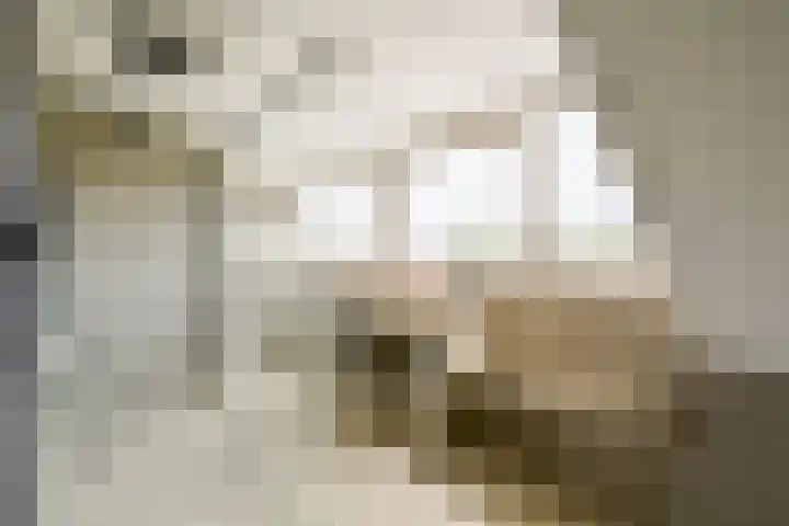 Schoolstraat 19 Den Ilp thumbnail 37