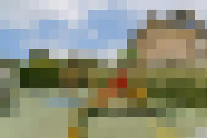 Schoolstraat 19 Den Ilp thumbnail 40
