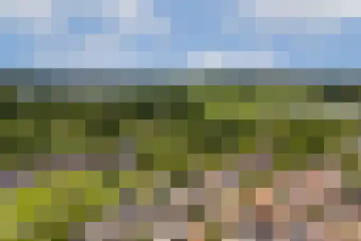 Schoolstraat 19 Den Ilp thumbnail 46