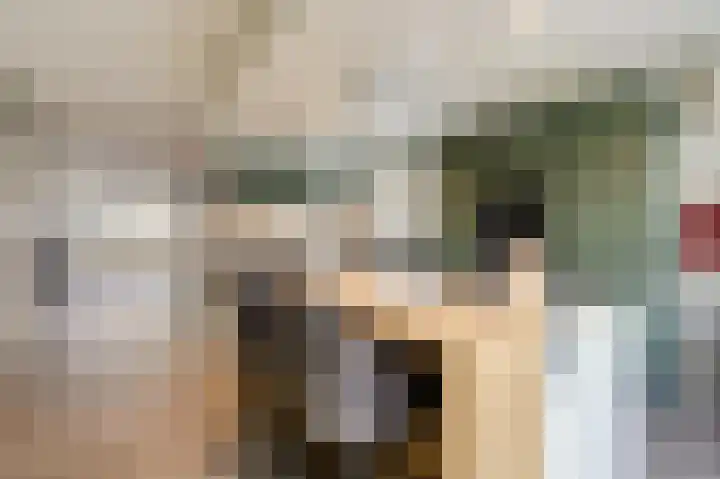 Schoolstraat 19 Didam thumbnail 24