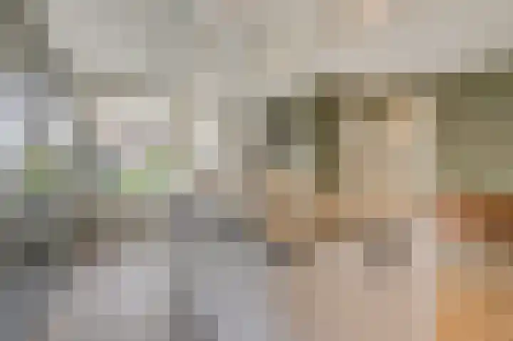 Schoolstraat 19 Didam thumbnail 28