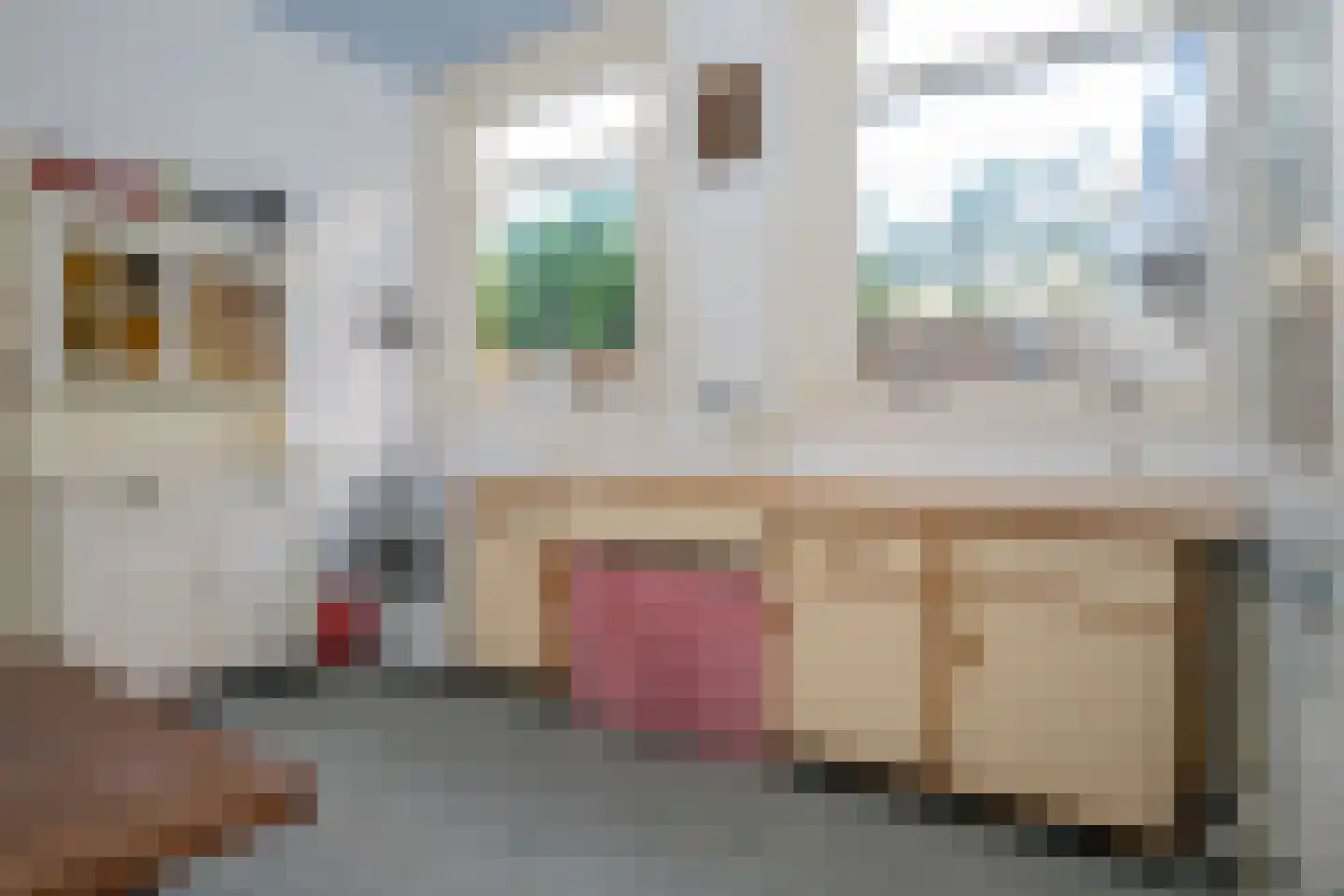 Schoolstraat 19 Didam thumbnail 32