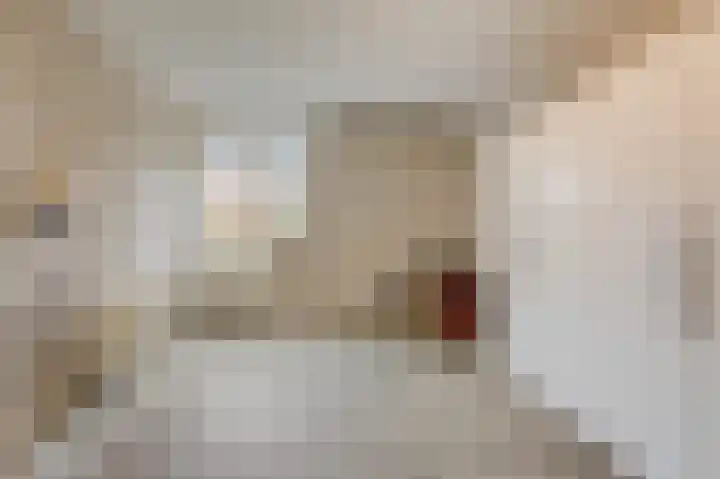 Schoolstraat 19 Didam thumbnail 36