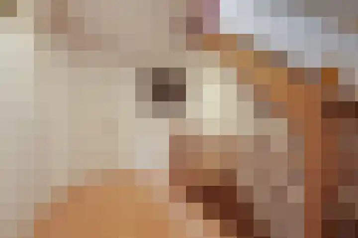 Schoolstraat 19 Didam thumbnail 39