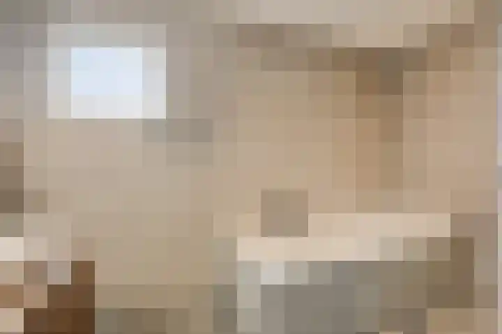 Schoolstraat 19 Didam thumbnail 51