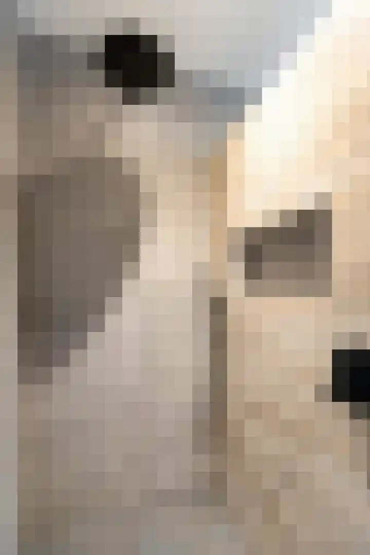 Schoolstraat 19 Didam thumbnail 53