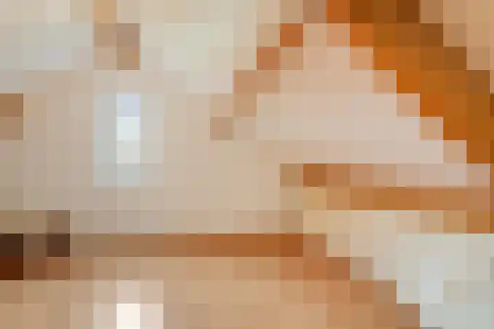 Schoolstraat 19 Didam thumbnail 55