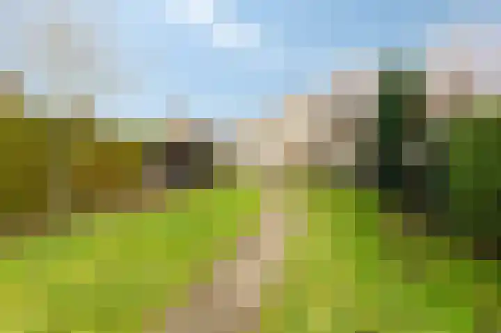 Schoolstraat 19 Didam thumbnail 6