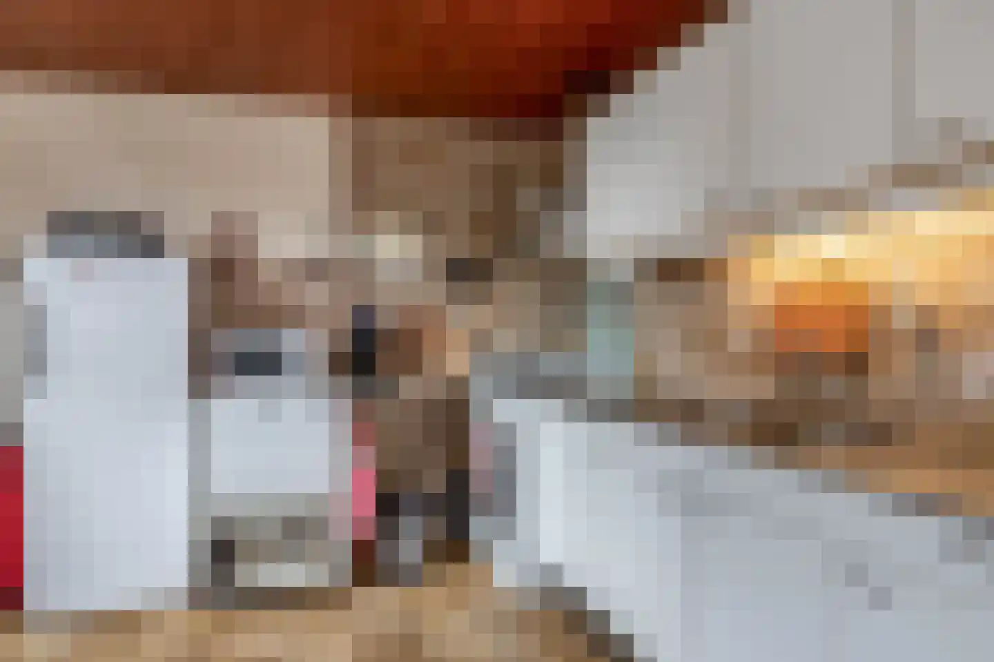 Schoolstraat 19 Eersel thumbnail 10
