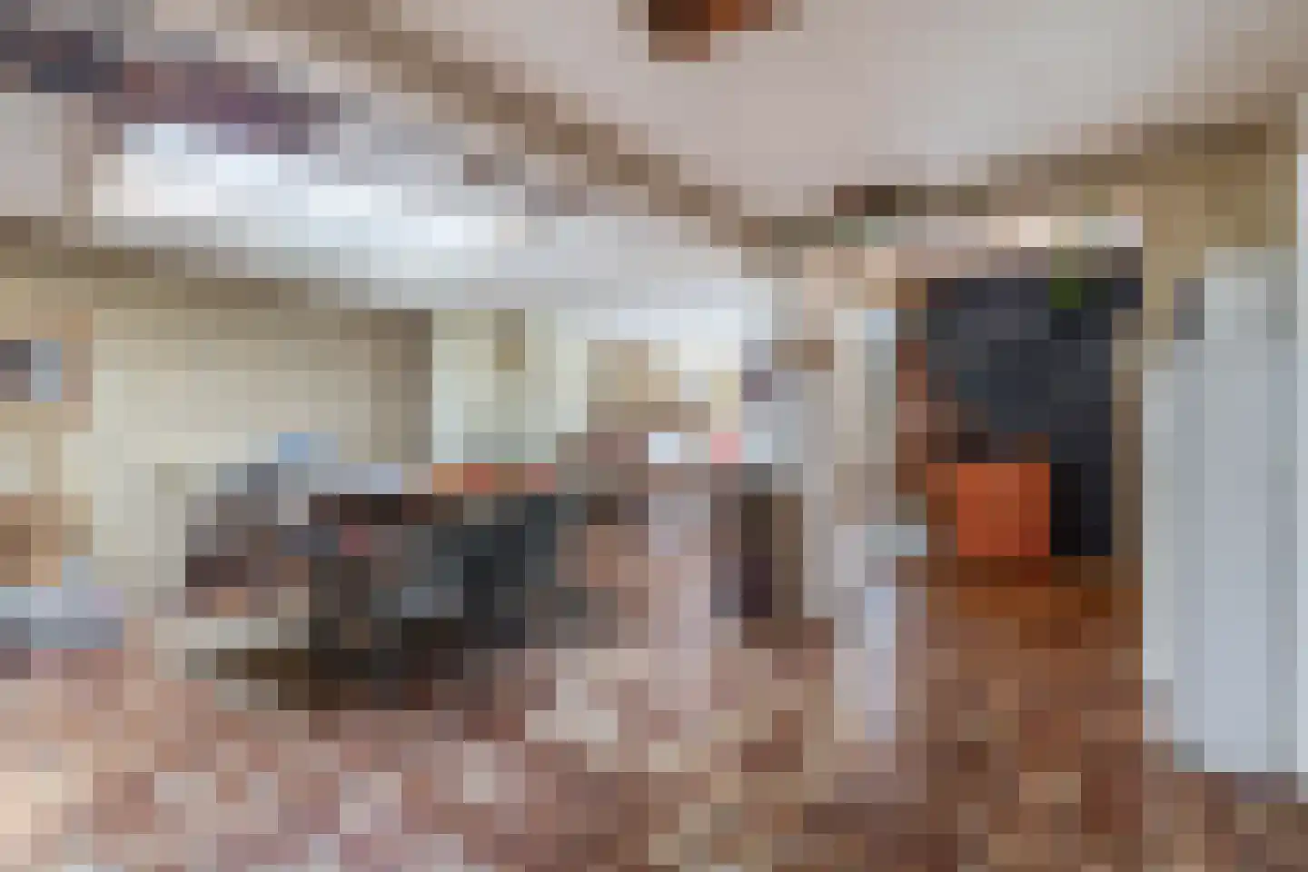 Schoolstraat 19 Eersel thumbnail 12