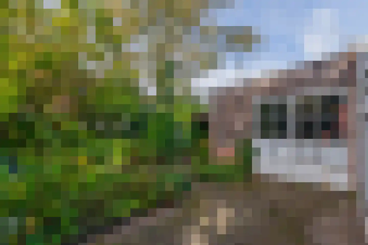 Schoolstraat 19 Eersel thumbnail 31