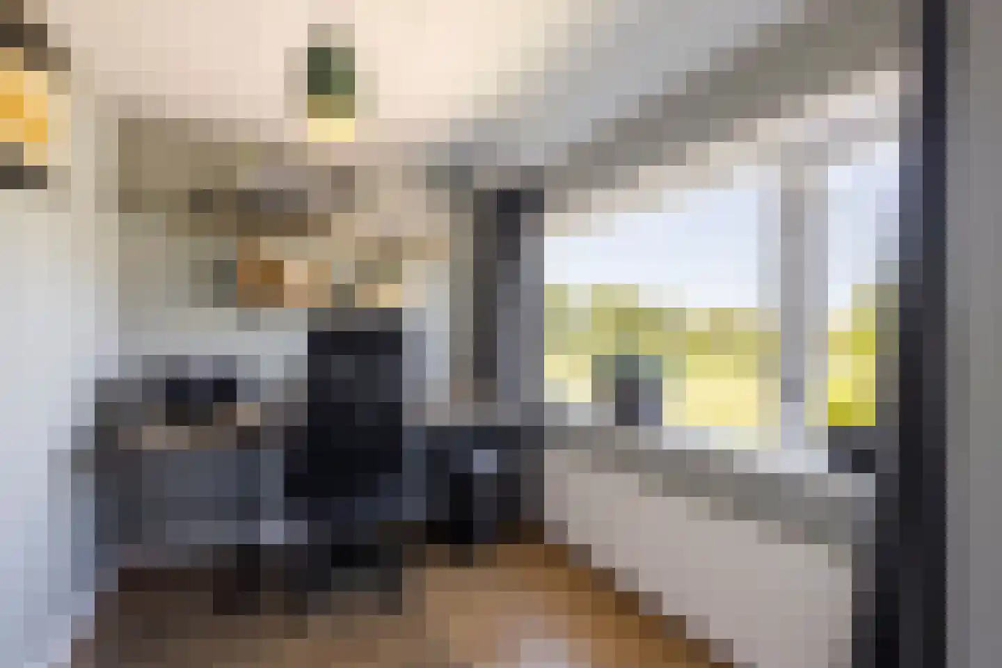 Schoolstraat 19 Nieuwpoort thumbnail 25