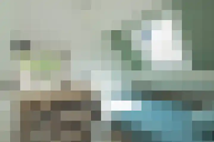 Schoolstraat 19 Noordwijkerhout thumbnail 26