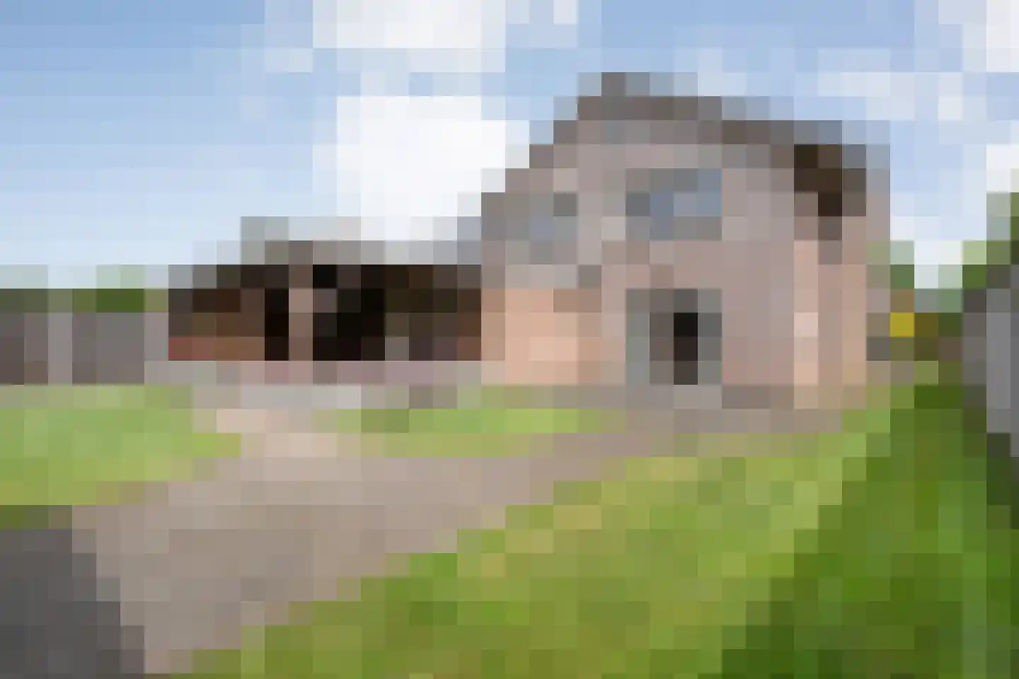 Schoolstraat 19 Tilligte thumbnail 22