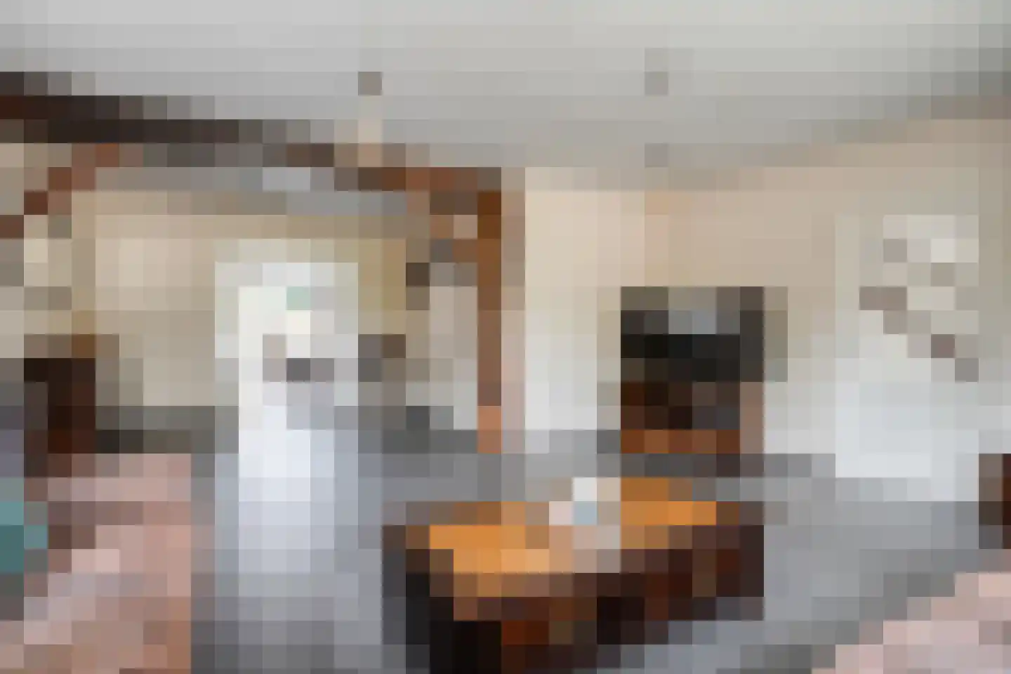 Schoolstraat 19 Tilligte thumbnail 6