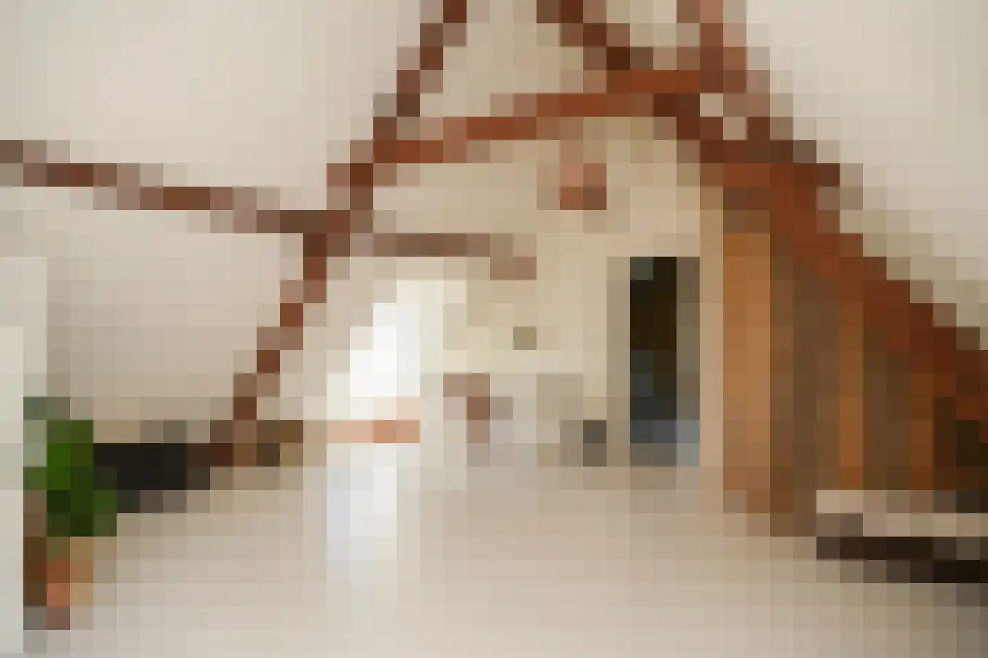 Schoolstraat 19 Well thumbnail 20